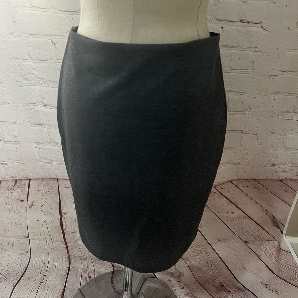 Elegant Gray Women's Skirt